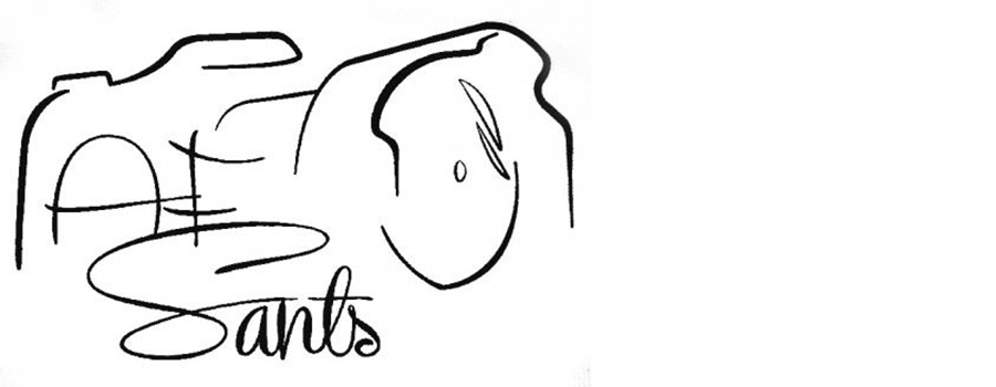 logo www.afosants.cat