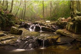 montseny-xavier-manrique2